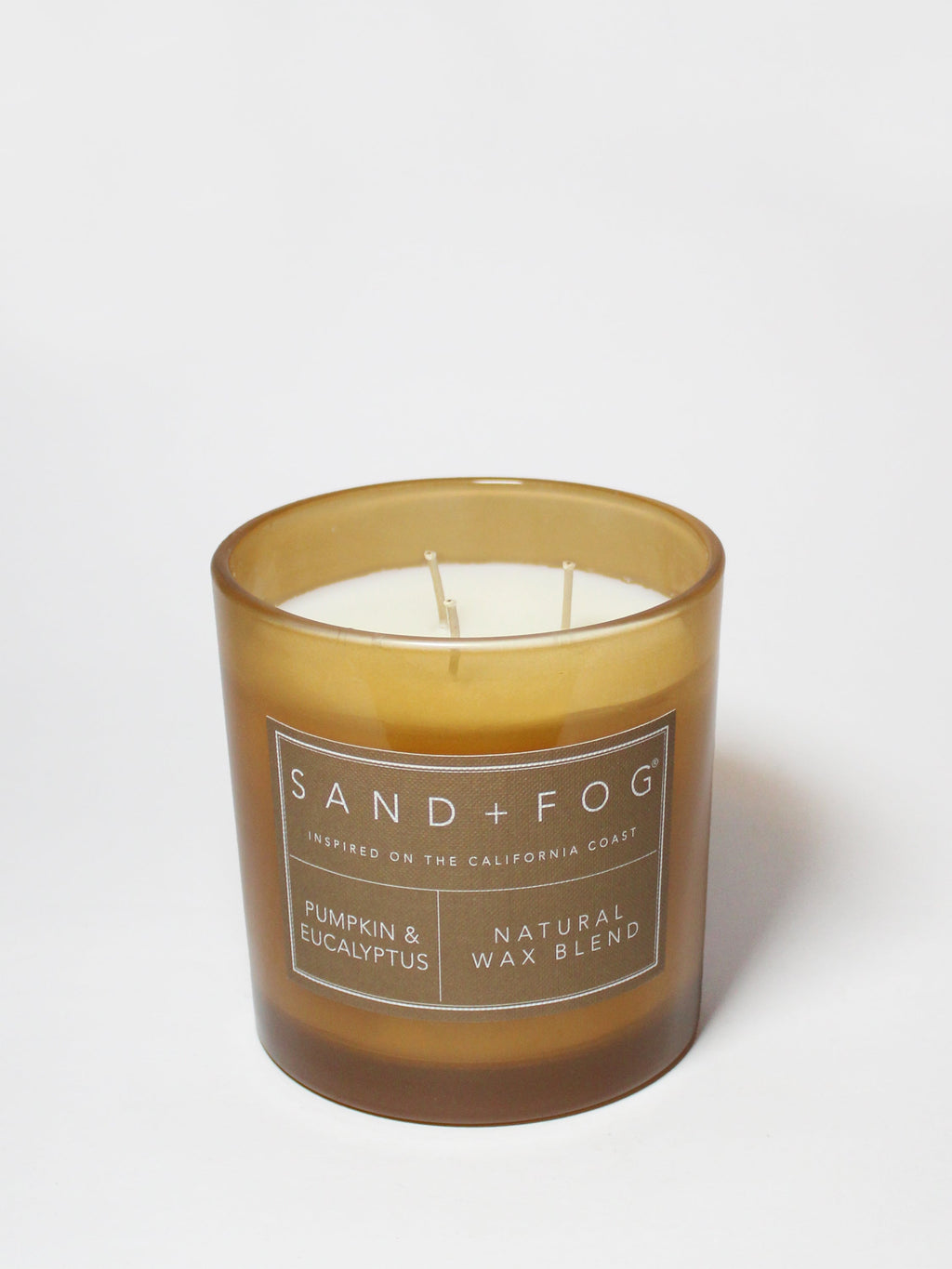 Pumpkin & Eucalyptus 21 oz scented candle