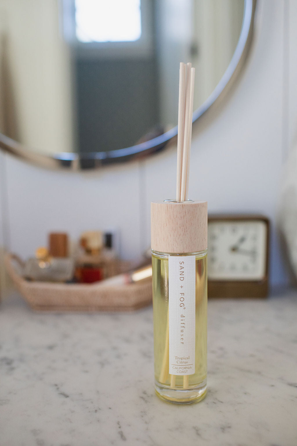 Elegant Tropical Citrus 100 ml Reed Diffuser
