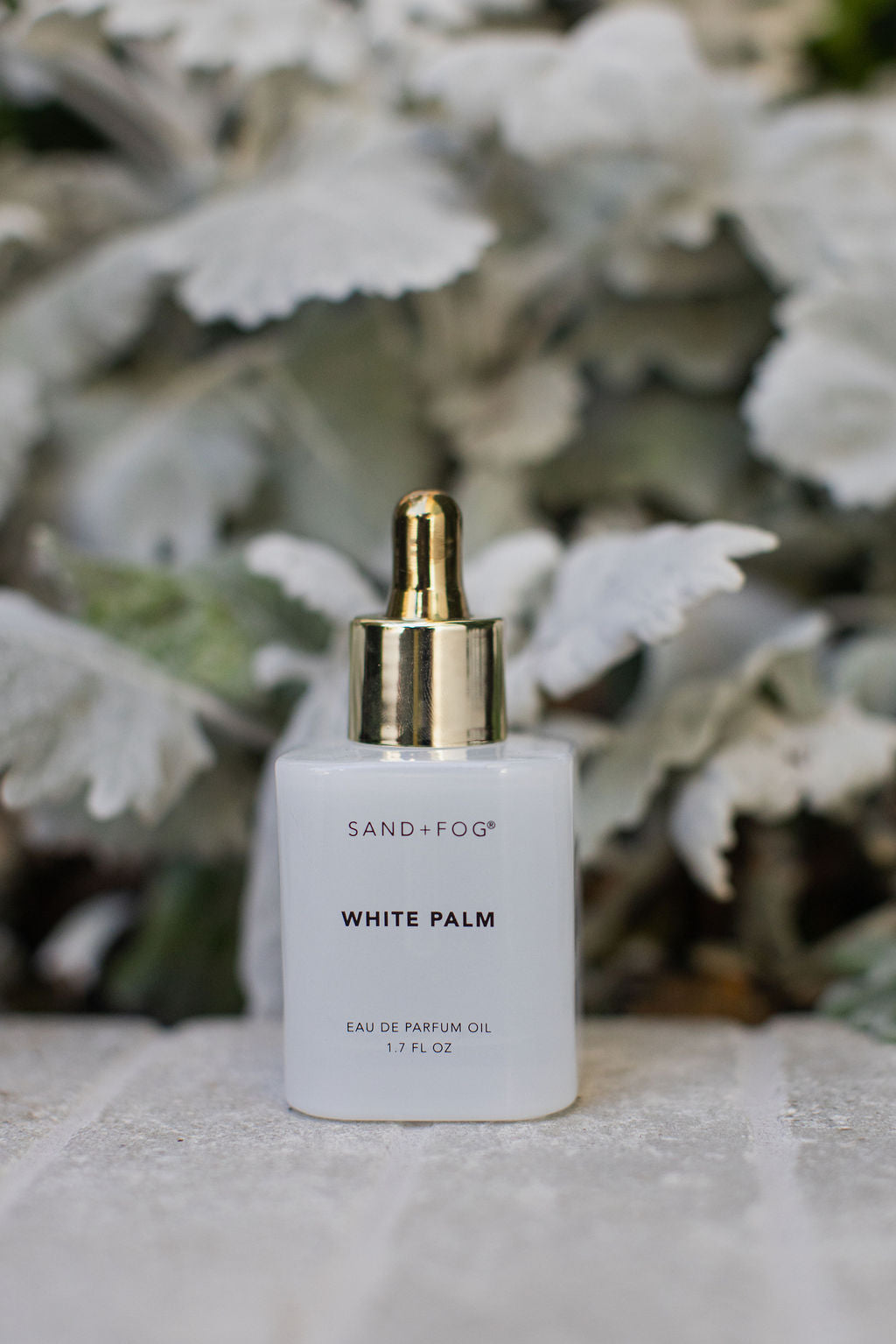 Luxurious White Palm 50 ml Perfume Oil Dropper