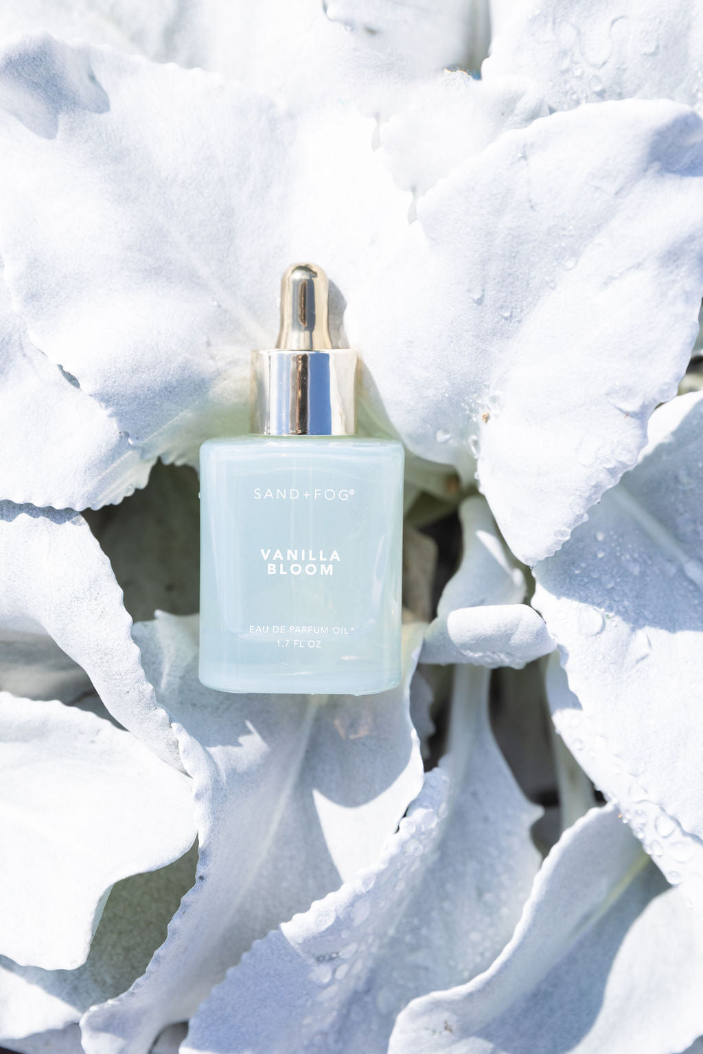 Luxurious Vanilla Bloom 50 ml Perfume Oil Dropper