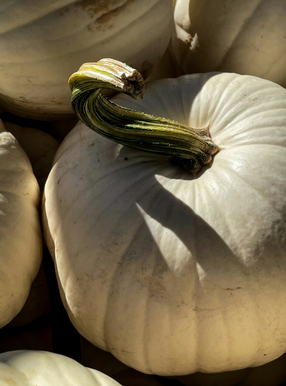 Refreshing White Pumpkin 100 ml Room Spray