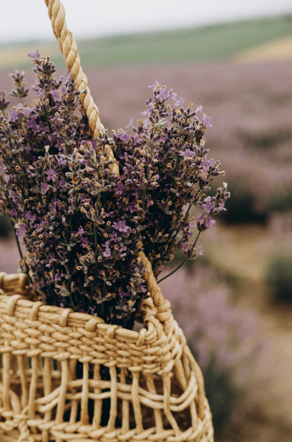 Elegant Cedar & Lavender 110 ml Reed Diffuser