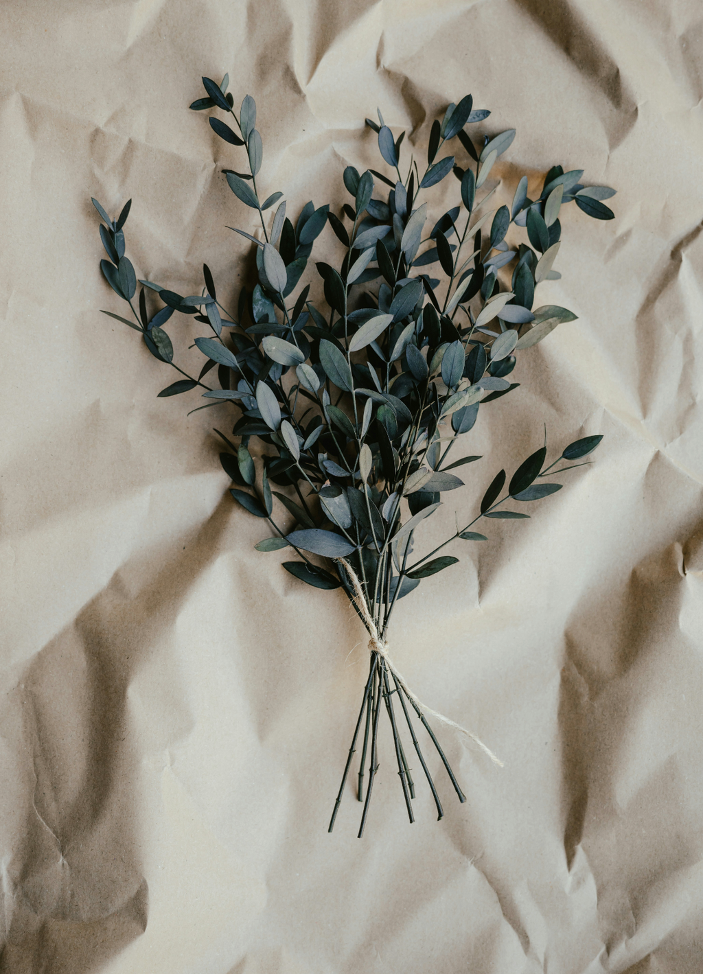 Refreshing Eucalyptus 107 ml Room Spray