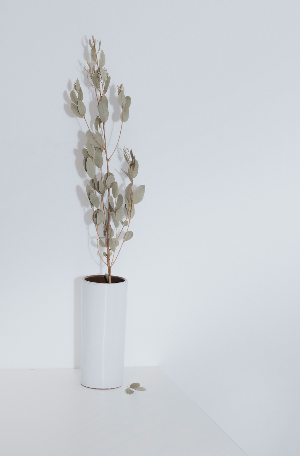 Elegant Eucalyptus Spearmint 100 ml Reed Diffuser