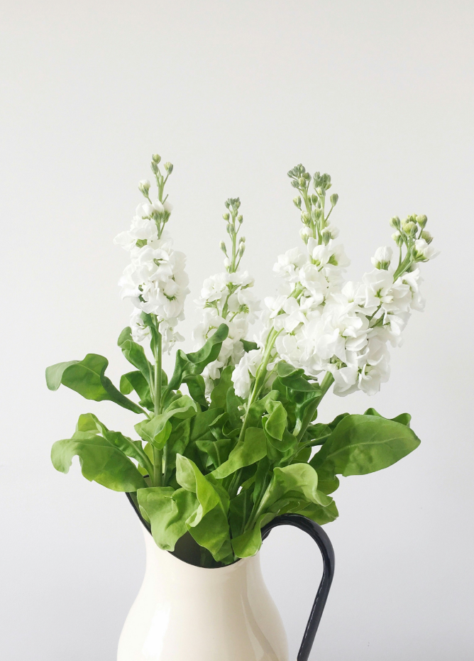 White Flowers 10 oz scented candle