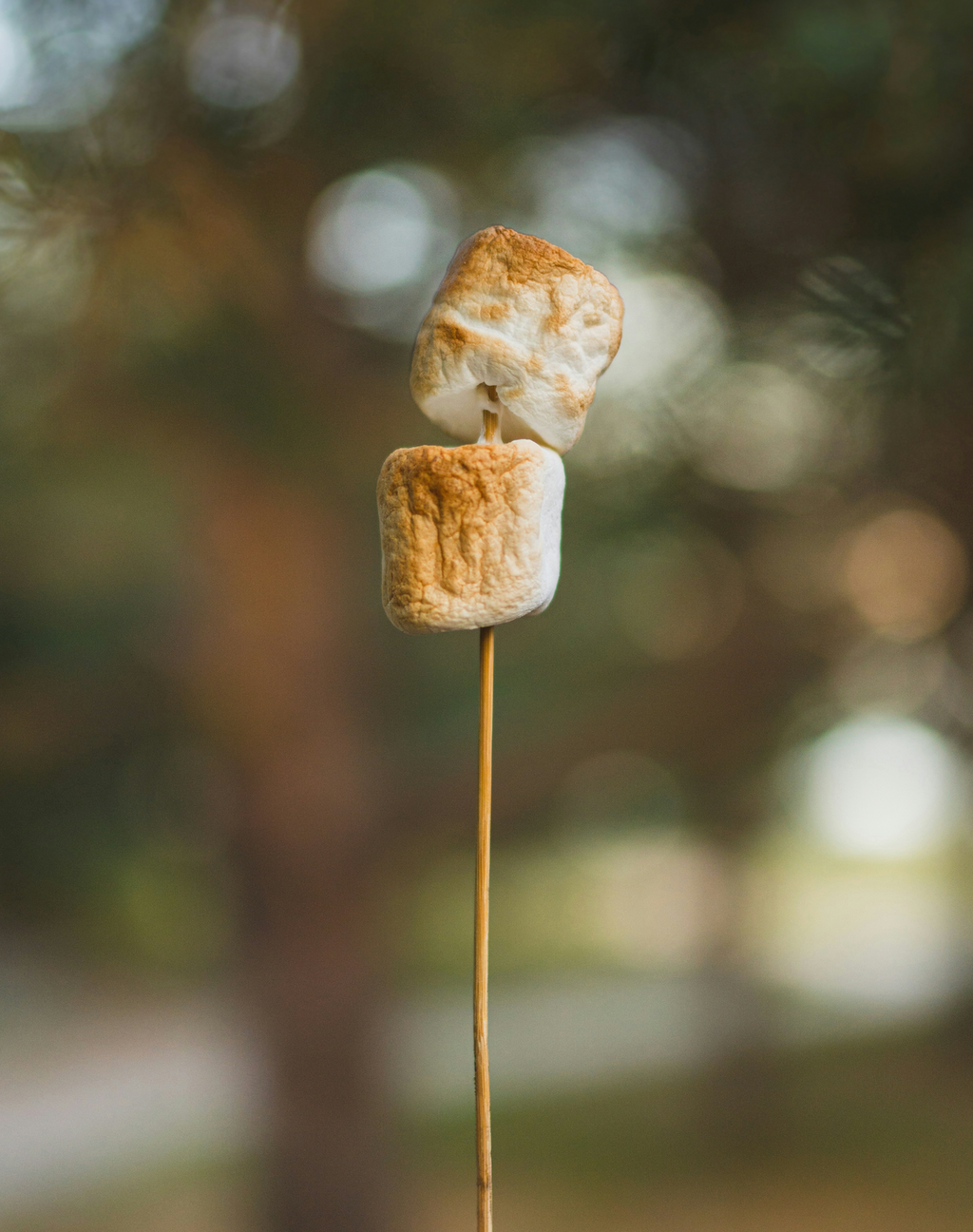 Luxurious Toasted Marshmallow 50ml Perfume Oil Dropper