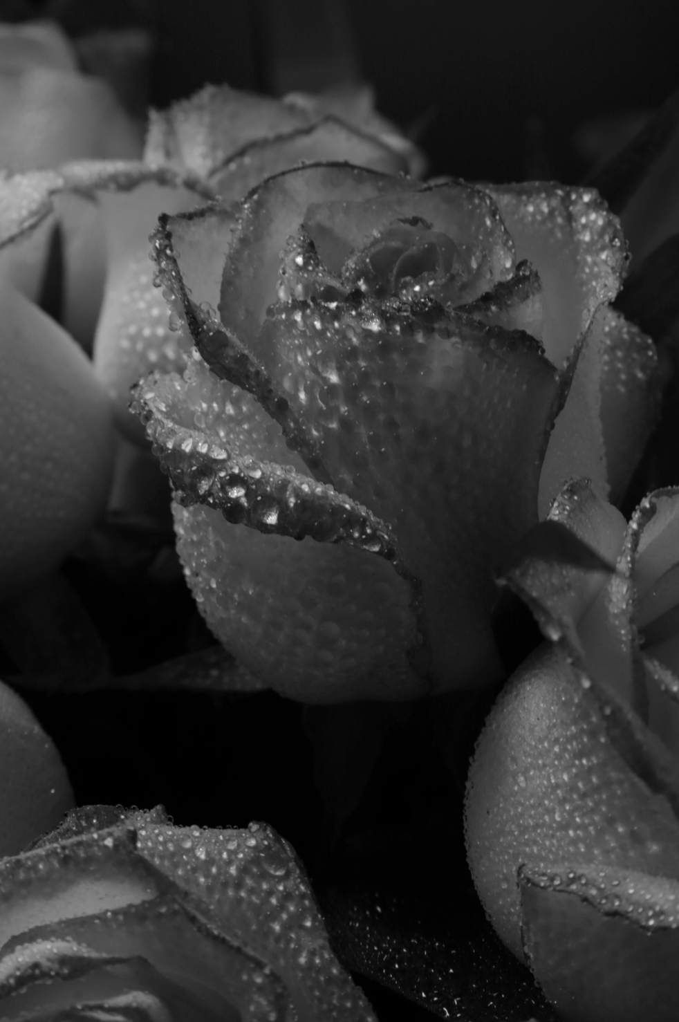 Luxurious Rose Dew 50ml Perfume Oil Dropper